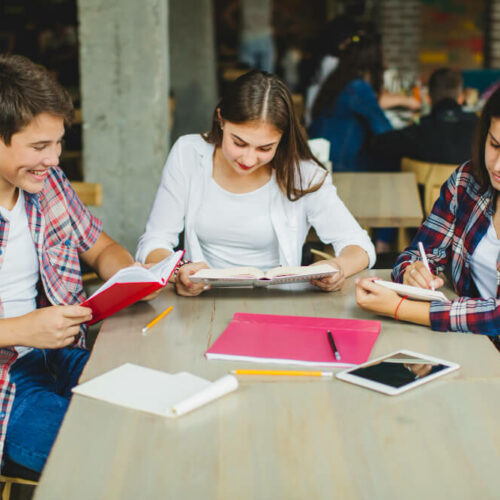 Salidas Bachillerato Internacional